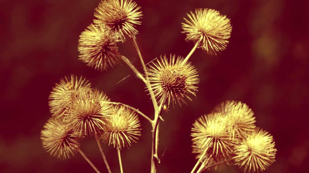 Όνειρο για μπερδέματα | Ερμηνεία και σημασία ονείρου