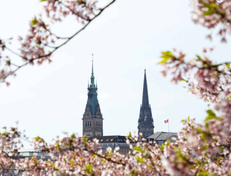 Droom over stadhuis | Betekenis en uitleg