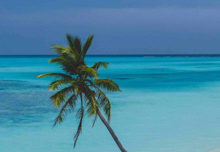 Droom over tropisch eiland | Betekenis en uitleg