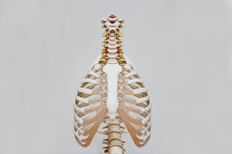 Droom over tuberculose | Betekenis en uitleg
