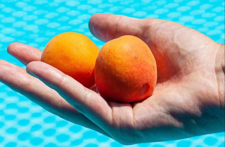 Rêver de abricot | Signification et interprétation