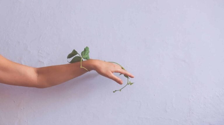 Droom over armen | Betekenis en uitleg