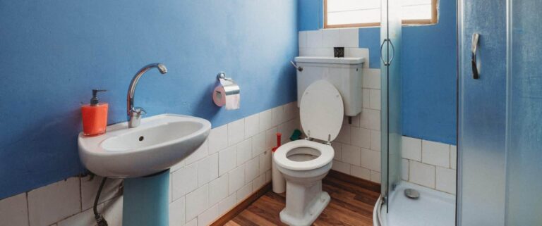 Droom over constipatie of verstopping | Betekenis en uitleg