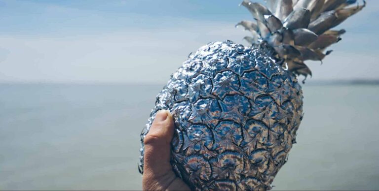 Droom over duim | Betekenis en uitleg