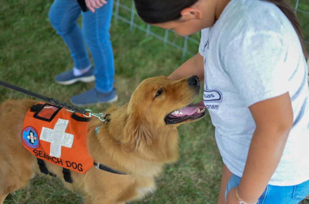 Soñar con perro de asistencia | Significado de los sueños