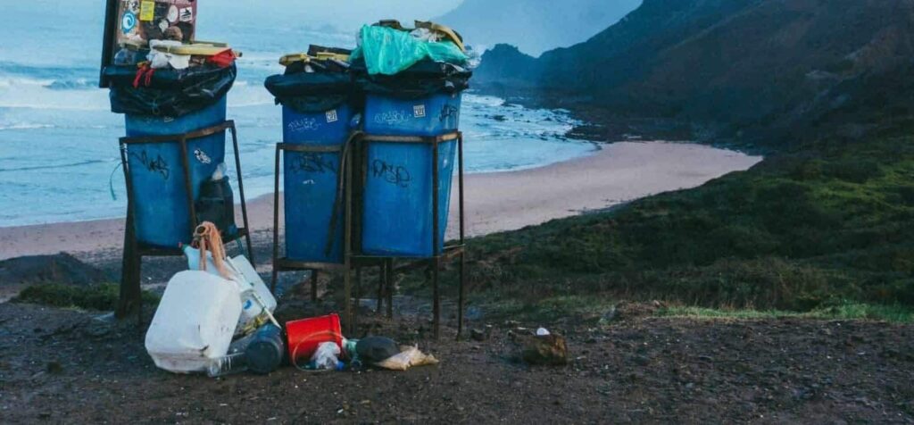 Vis despre dezgust | Semnificație și interpretare