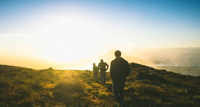 Droom over wandelen | Betekenis en uitleg